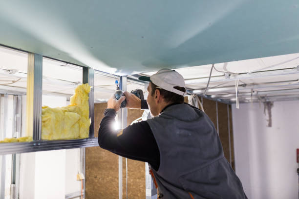 Best Geographic-Specific Insulation Services in Blair, NE