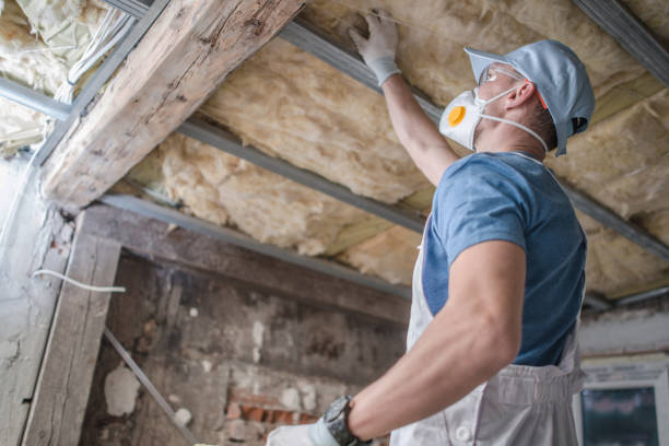 Best Eco-Friendly Insulation in Blair, NE