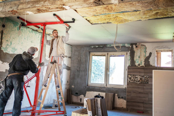 Best Insulation Maintenance and Repair in Blair, NE